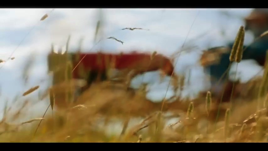 CRAYONS. TV-AD for Newfoundland and Labrador. .mp4